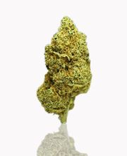 FACT FARM CBD - Produttore dal 2018 di Canapa Legale - CBD Shop Torino immagine 8