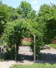 Merit School at The Castle image 4