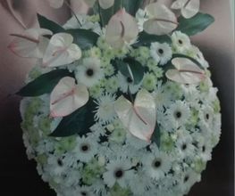 floristeria-tacoronte-3.jpg