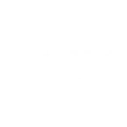 233407931-1-qiINVVseMZ1779871745811.png