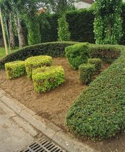 Les 4 Saisons image 2