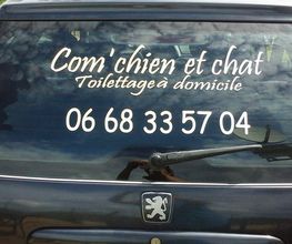 Com Chien Et Chat image 9