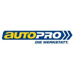 Auto-Riedel GmbH & Co. KG