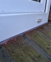 IMG_7773.jpeg