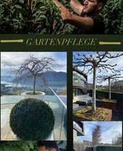 Swiss Green Estate Haljimi Bild 3