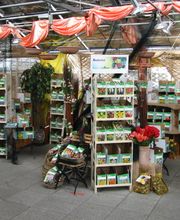 Rodigari Gartencenter Bild 2