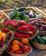 OBST UND GEMÜSE
Wir bekommen jeden Tag frische Lieferungen, darunter auch viele Erzeugnisse von regionalen Partnern und zusätzlich saisonale Waren – je nach Jahreszeit. Darunter finden Sie ebenfalls eine Auswahl an Bio-Produkten und solche von Demeter. Entdecken Sie auch unsere exotischen Früchte und die große Auswahl an Kräutern für jede Gelegenheit. Schalenfrüchte führen wir selbstverständlich auch!