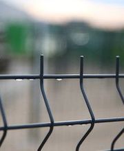 Lorraine Fers image 8