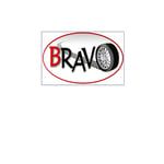 LOGONEUMATICOSBRAVO.jpg