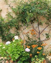 Marazur Immobilier image 1