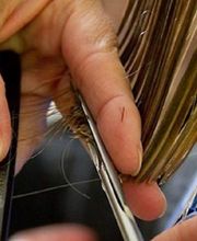 Février Sylvie image 1