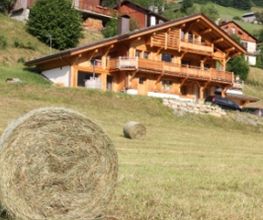 Chalets De Montagne image 3