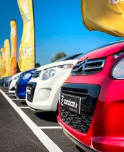 Zanzicar Brive - PAROT image 2
