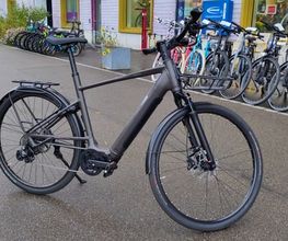 Stahlross Velo AG Bild 5