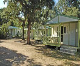 CAMPING PEZZA CARDO image 2