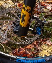 DG Performance for Bikes Bild 2