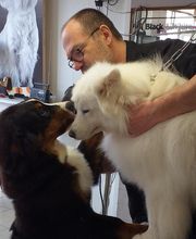 Mon Chien C'est Quelqu'un image 3