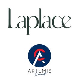 Artemis Consult