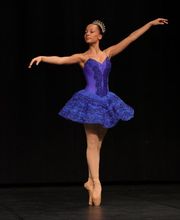 Institut d'Art Chorégraphique image 1