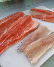 Sauerländer Forellenzucht Thomas Rameil Bild 7