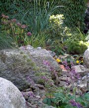 Höfler Heiko Bild 5