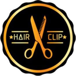 Hair Clip