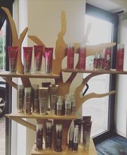 Gallery Cliente