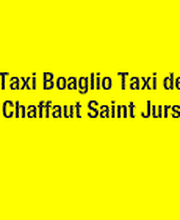 Les Taxis Duyes Bleone image 1