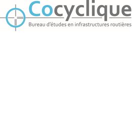Cocyclique