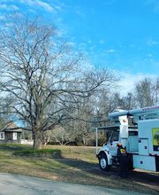 Climbers Tree Care Specialist, Inc. image 19