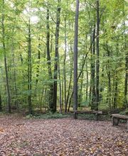 FriedWald Euskirchen Bild 7