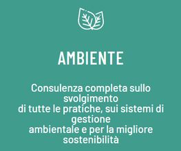Gallery Professionale