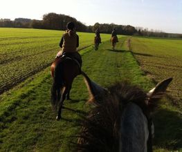 Cheval Nature image 1
