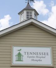 Tennessee Equine Hospital West image 6