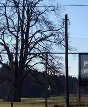 Golf de Pra Roman Bild 5