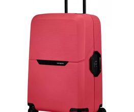 Globe Trotter image 2