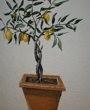 Malkarsten Asparuchov Karsten Bild 7