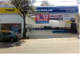 TIREX Michelin Arco Sur imagen 3