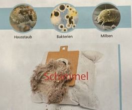 Hyla - Klara Denzler Bild 3