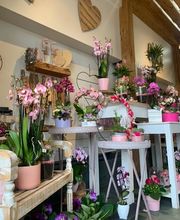 Galley fleurs Bild 6