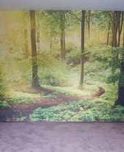 Bärtsch & Söhne AG Bild 5