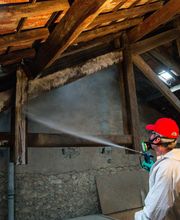 S.T.A.D Société de Travaux d'Assainissement et de Désinfection image 9