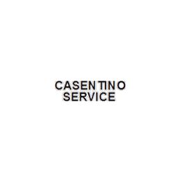 Casentino Service logo