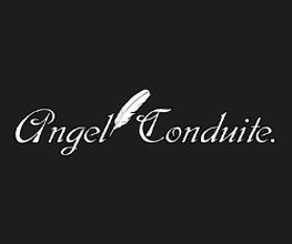 Auto École Angel Conduite image 2