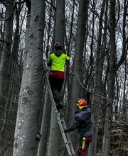 Distler Land und Forst Bild 2