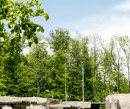 Alters- und Pflegeheim in Sennwald, Region Werdenberg Bild 1