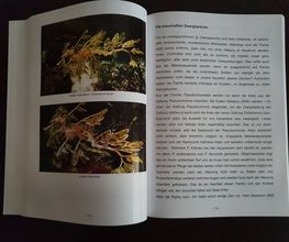 S&L Naturverlag Bild 11