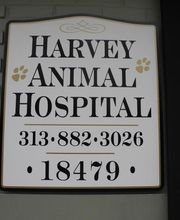 Harvey Animal Hospital image 3