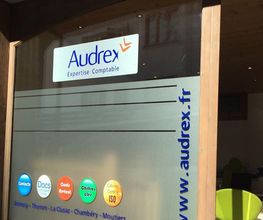 Audrex image 2