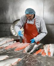 Dyhrberg Fabrikladen Bild 4